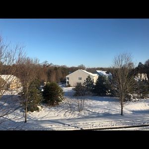 Meet your Posher, Lilly